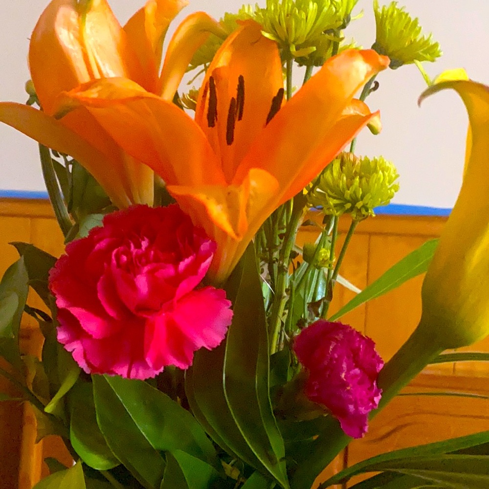 Meet your Posher, Lillie